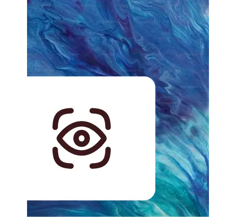 Vision icon